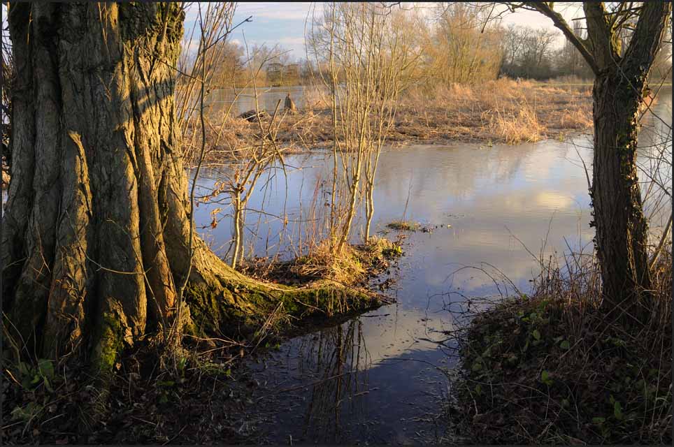 Flooded Footpath